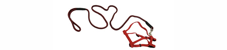 Arnés - Collares